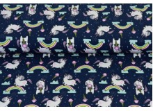 Jersey - Zuckerwatte Einhorn dunkelblau